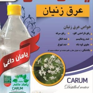 Trachyspermum Distillate