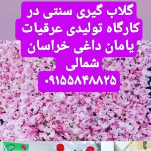 Rosa damascena Distillate