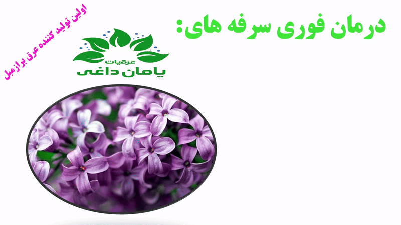 عرق برازمبل